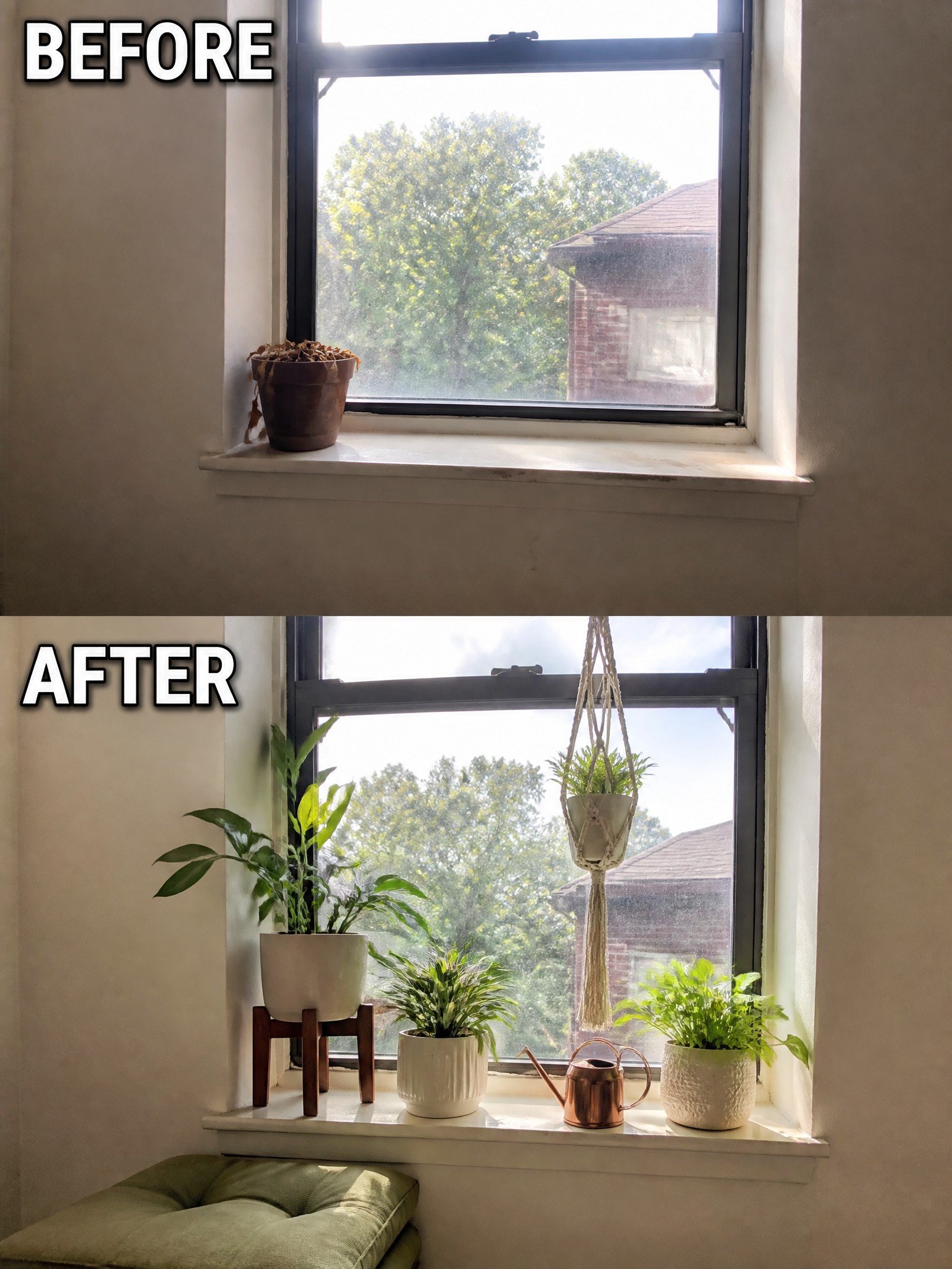 Before and after of a windowsill, featuring vibrant plants and a watering can.