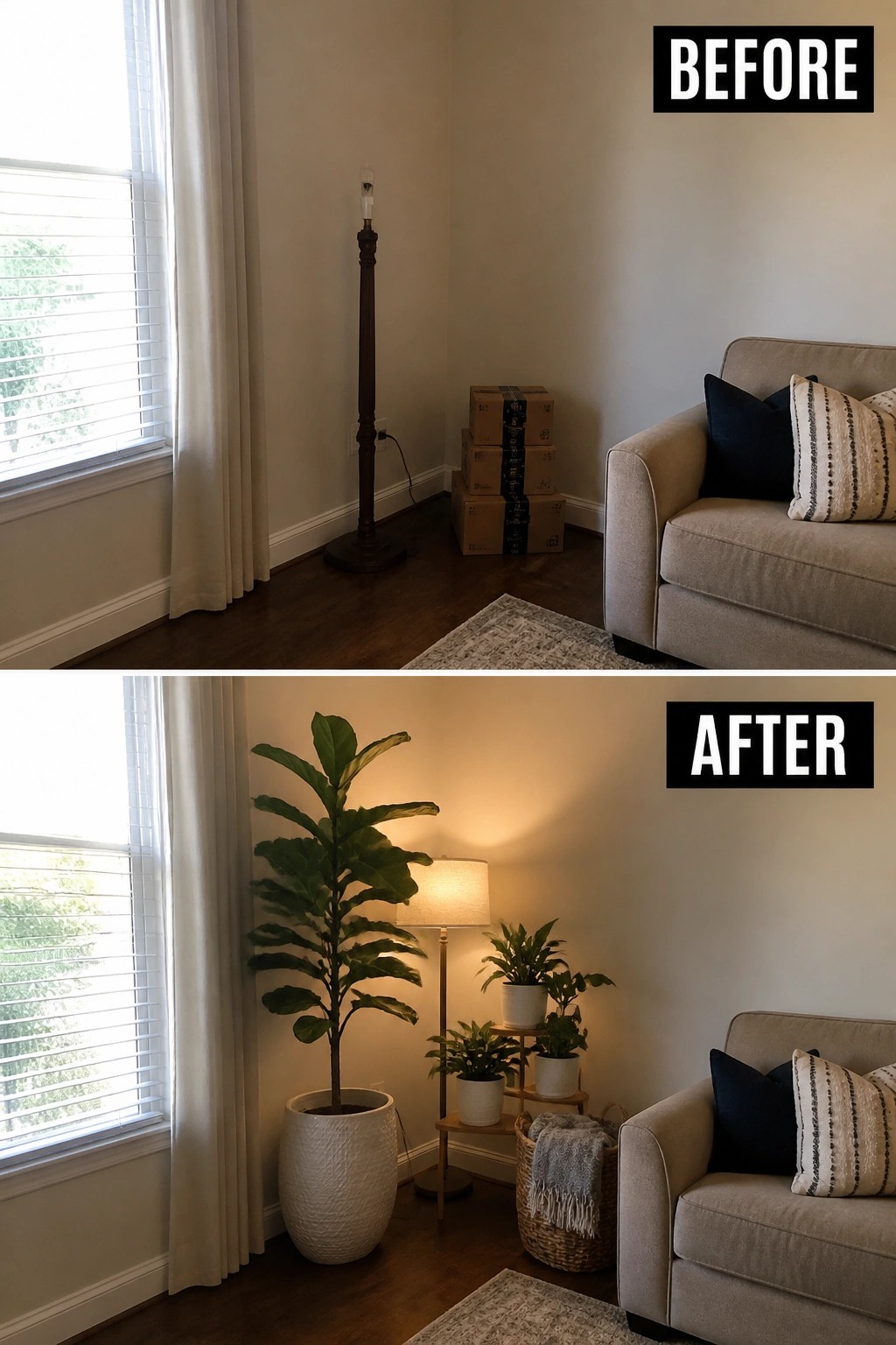 Before-and-after image of a living room corner changed from bare with stacked boxes and one lamp to filled with a large potted plant, smaller plants on a stand, and layered lighting.